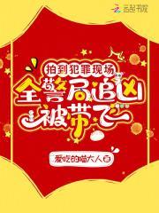 拍到犯罪现场，全警局追凶被带飞