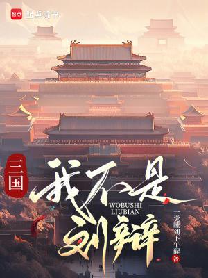 三国:我不是刘辩