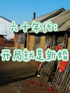 六十年代:开局就是新婚