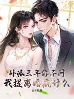 外派三年你不问，我提离婚疯什么？