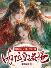 赐婚后，我挺孕肚让两位皇子疯抢